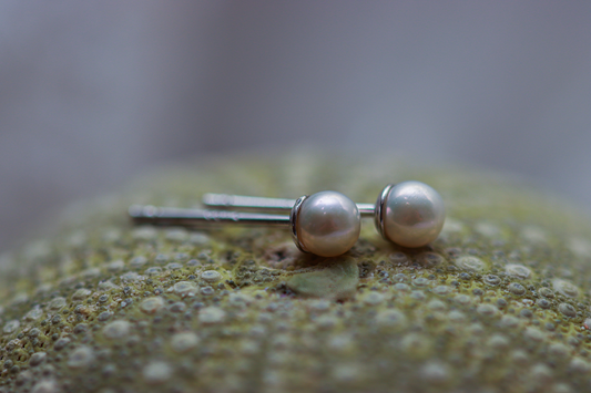 Freshwater Pearl Stud Earrings