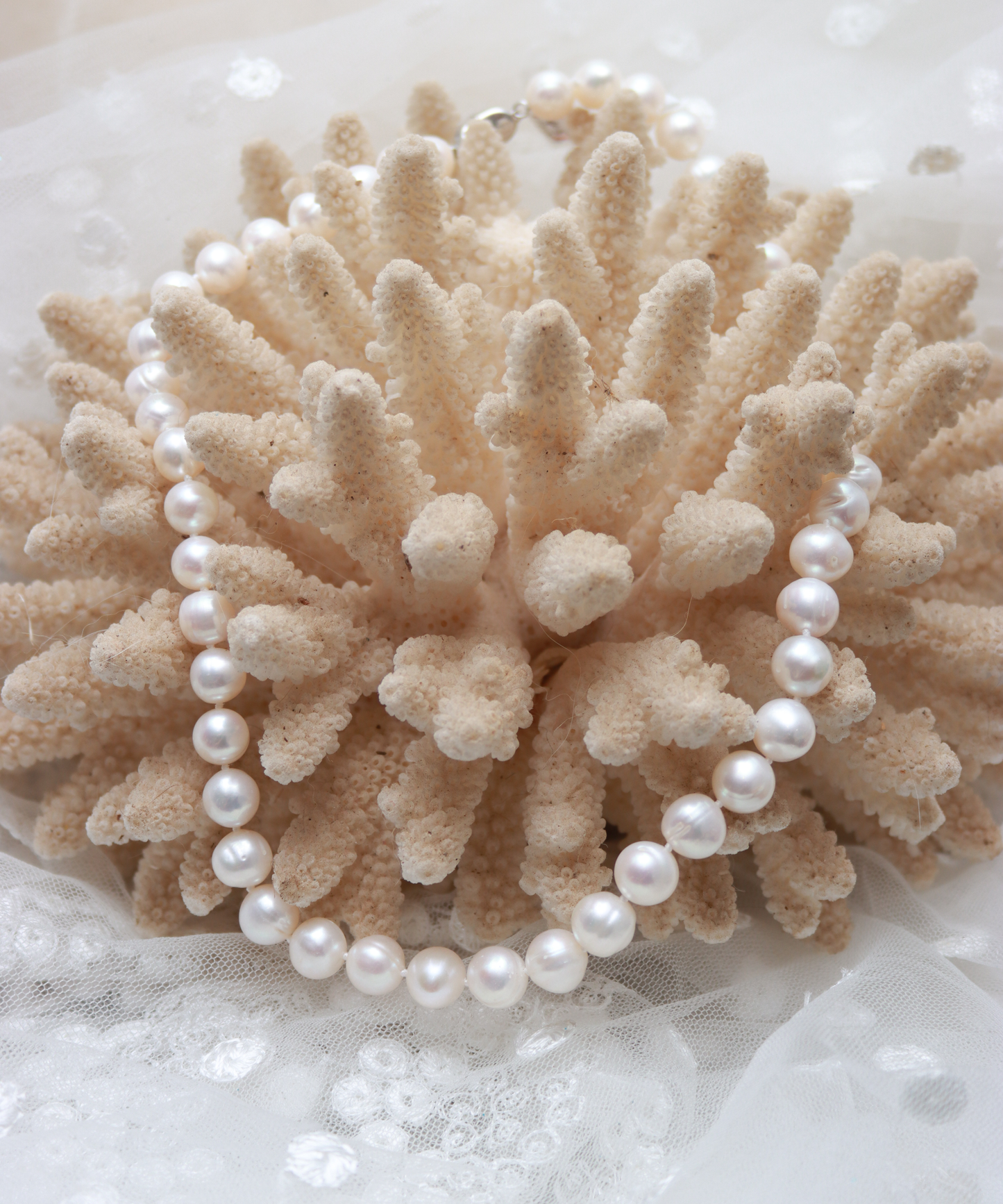 Freshwater Pearl (8-9mm) String with Silver Clasp
